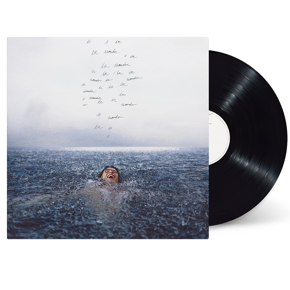 WONDER STANDARD VINYL