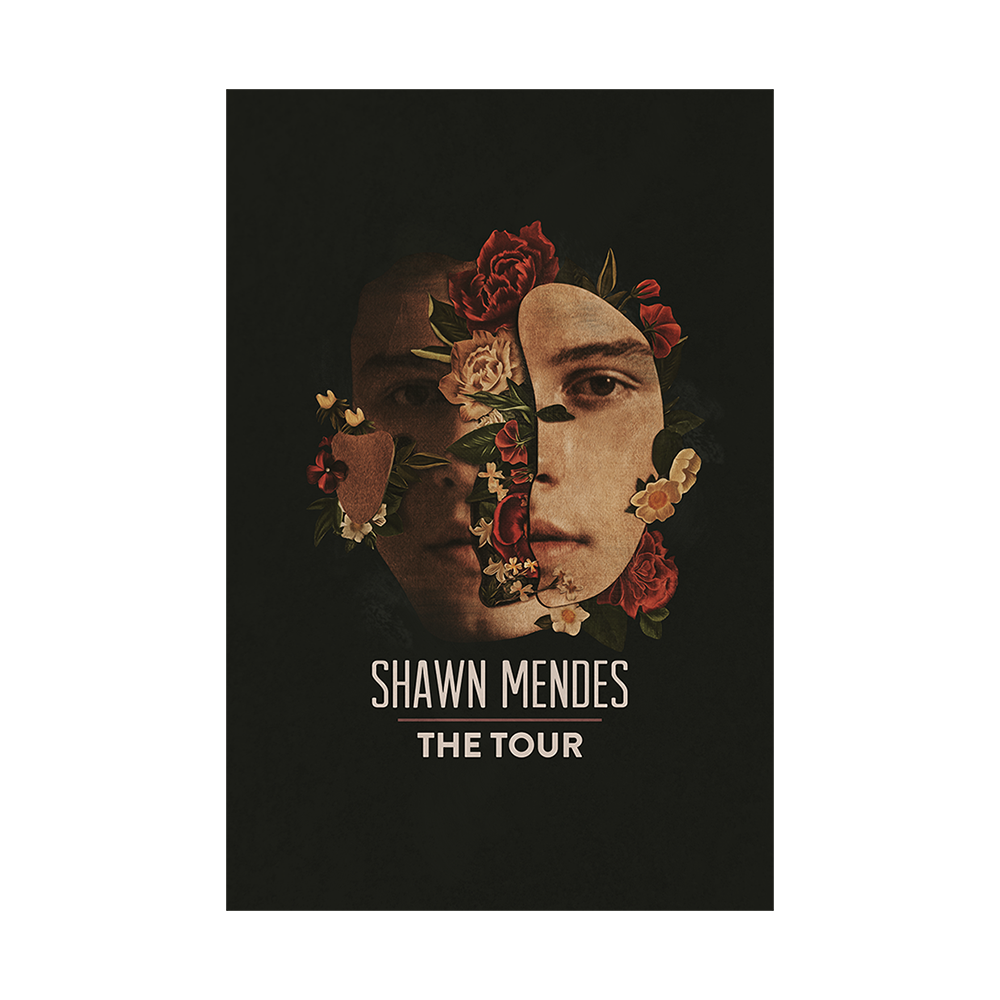 Signed Shawn Mendes on sale poster