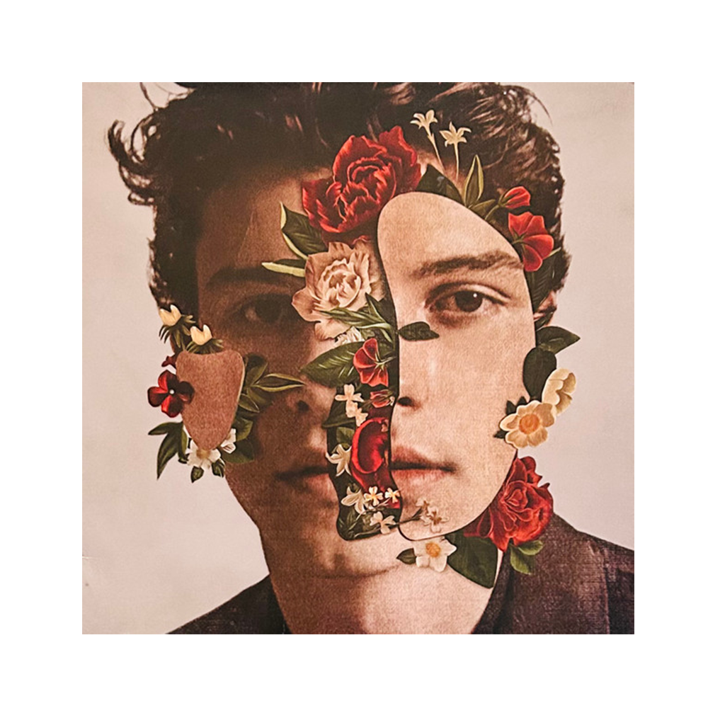 Shawn Mendes CD Cover Art
