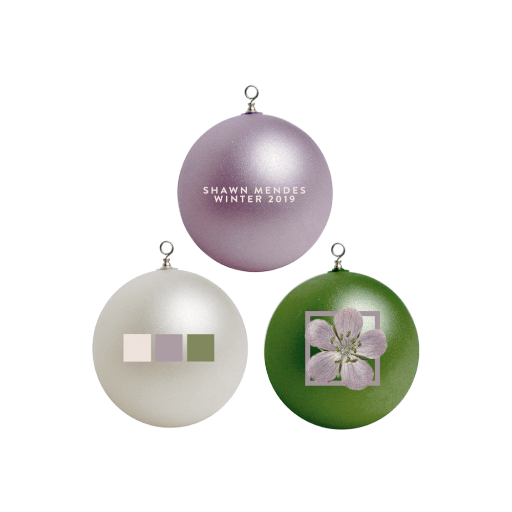 Winter floral shop hoodie shawn mendes